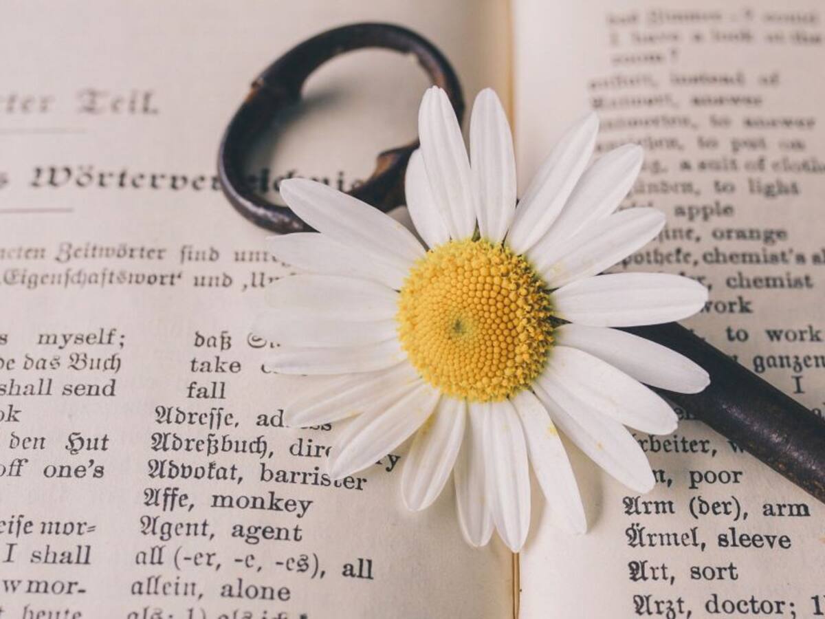 La magia de las palabras para sanar