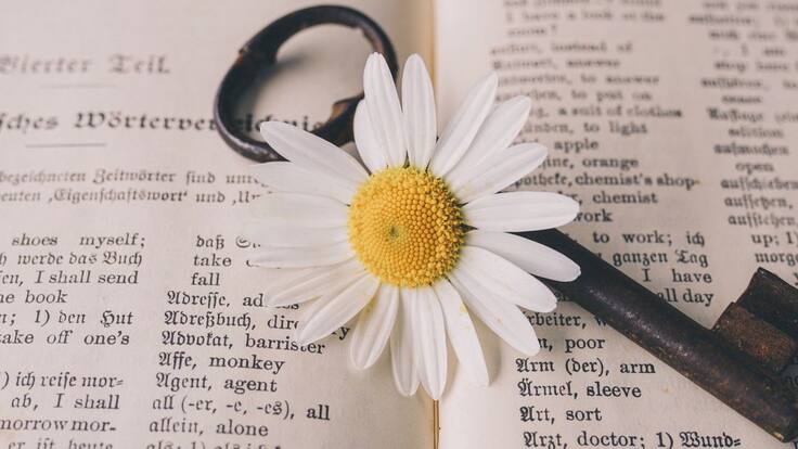 La magia de las palabras para sanar.