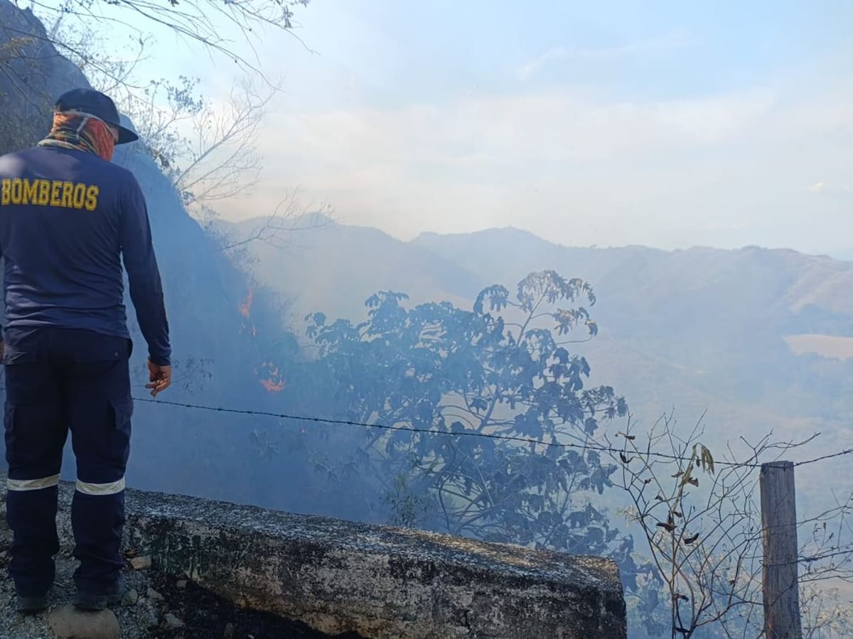 Tolima pide apoyo al Gobierno Nacional para atender devastadores incendios forestales