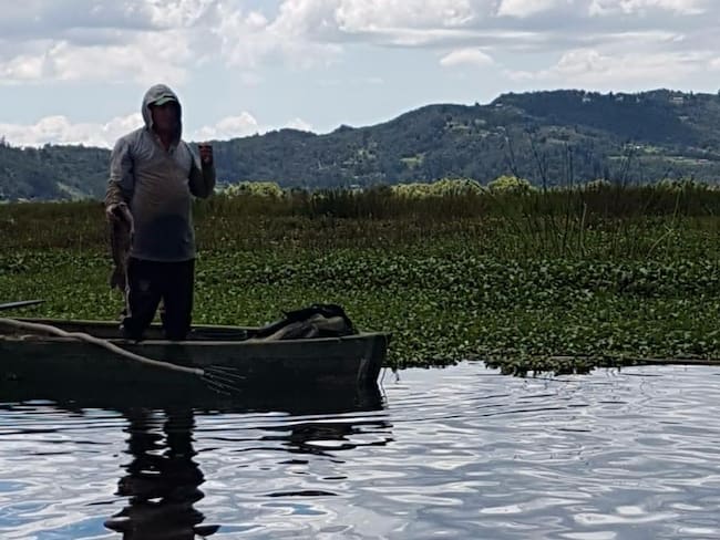Secretaría de Educación invita a participar en el Congreso Virtual ‘Escuela y Cambio Climático’