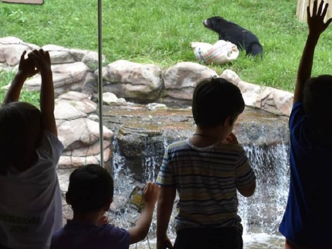 Zoológico de Cali no dejó comer a niños con discapacidad en su interior