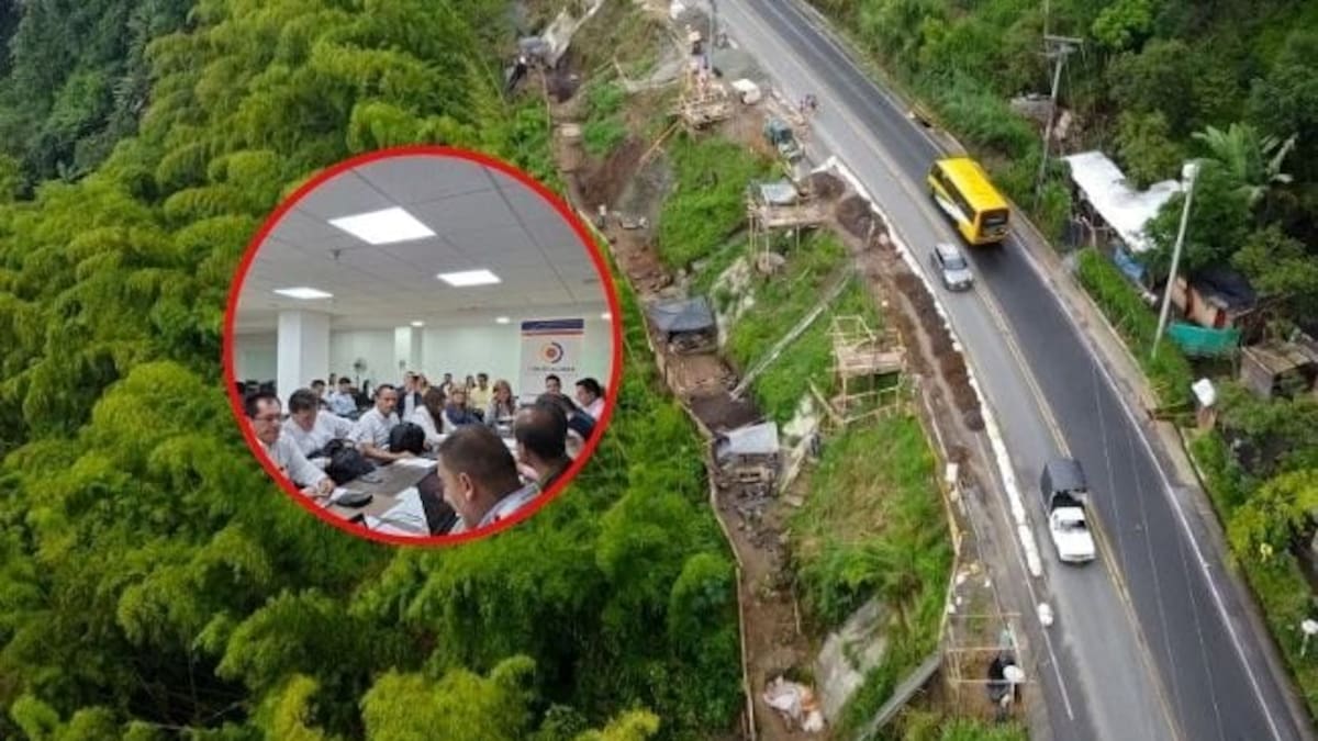 Representante a la cámara, Piedad Correal