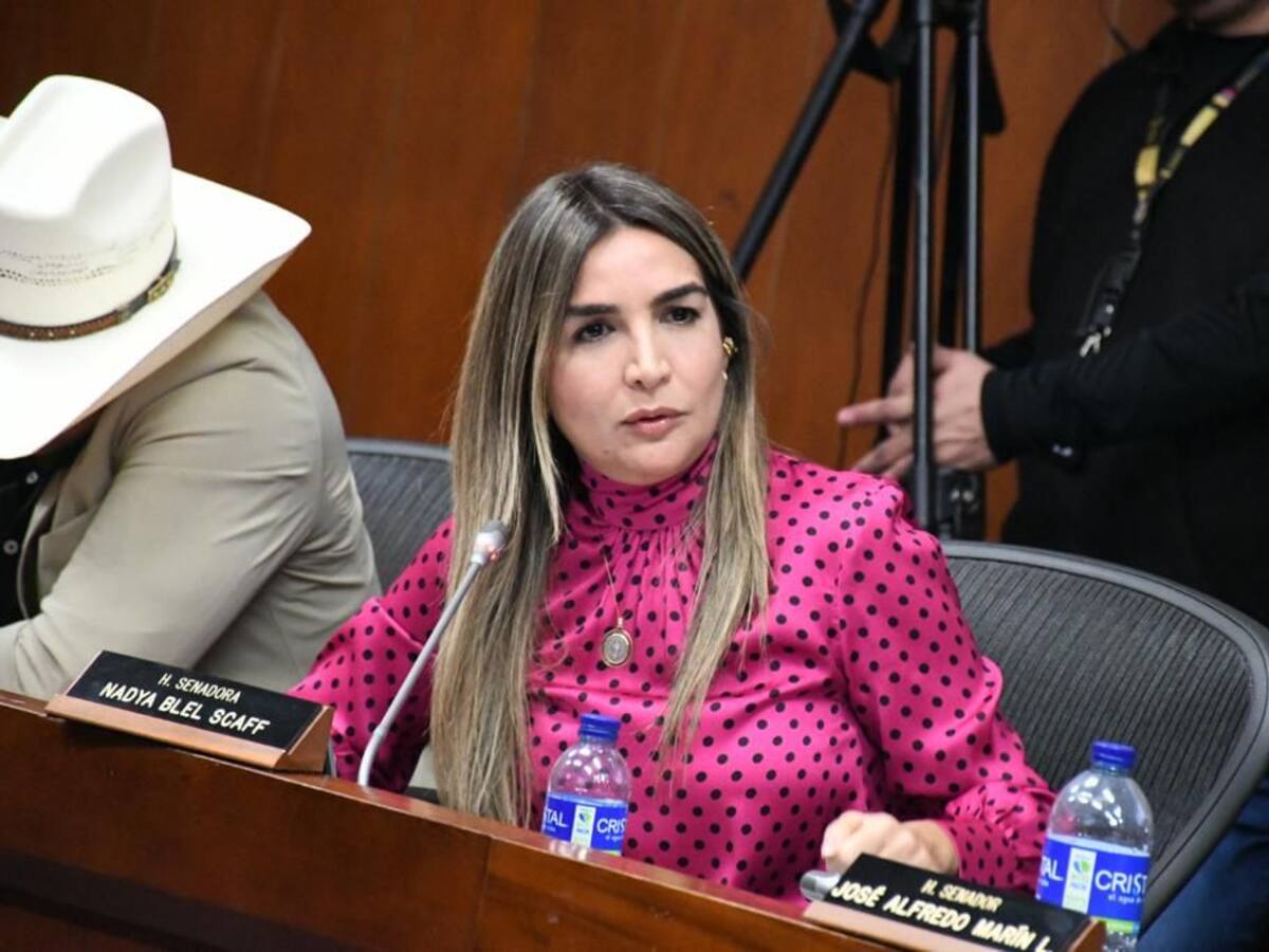Senadora Nadia Blel lideró debate en el Congreso sobre programa Mi Casa Ya