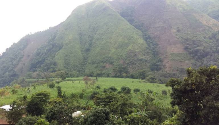 Serranía del Perijá