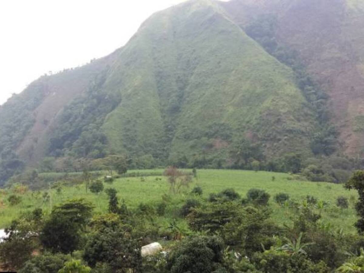Yukpas deambulan por calles de Barranquilla