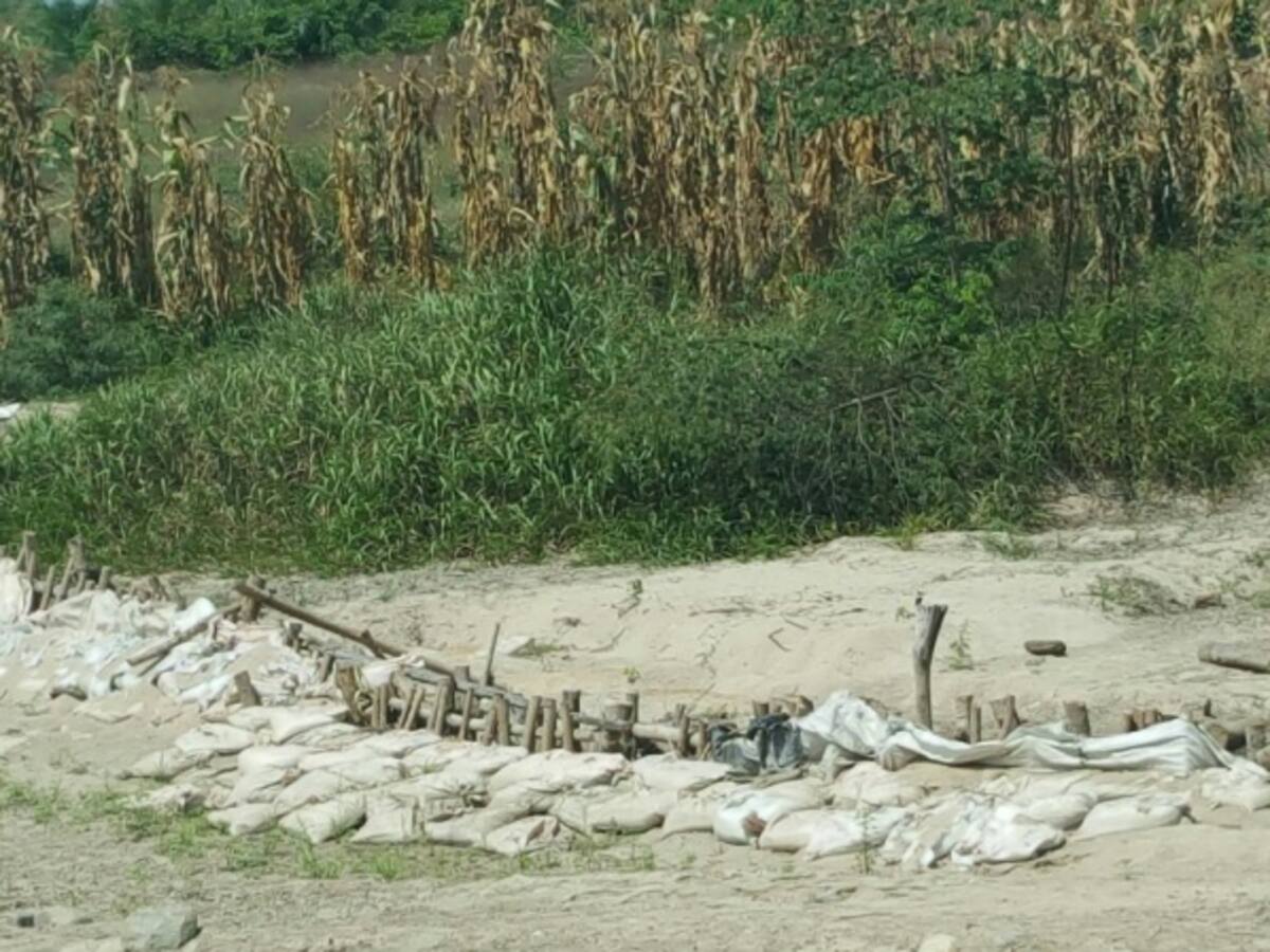 Alcalde de Puebloviejo, Magdalena, denuncia a palmeros que roban agua para abastecer sus fincas