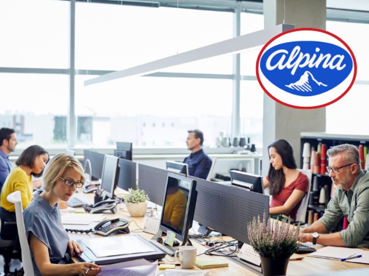 ¡Trabajo si hay! Alpina abre vacantes para iniciar el 2025 ¿Cómo aplicar?