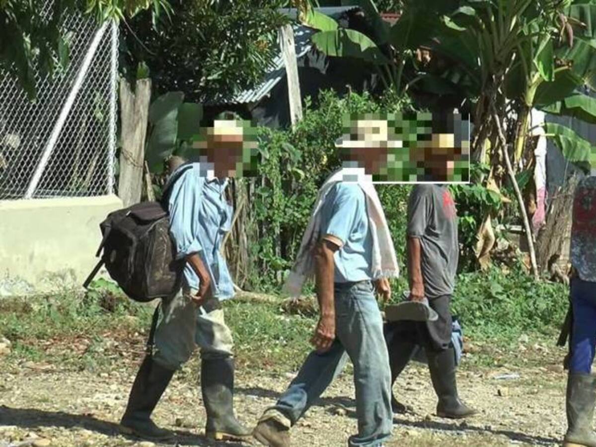 Crece éxodo de campesinos a La Caucana, en Tarazá