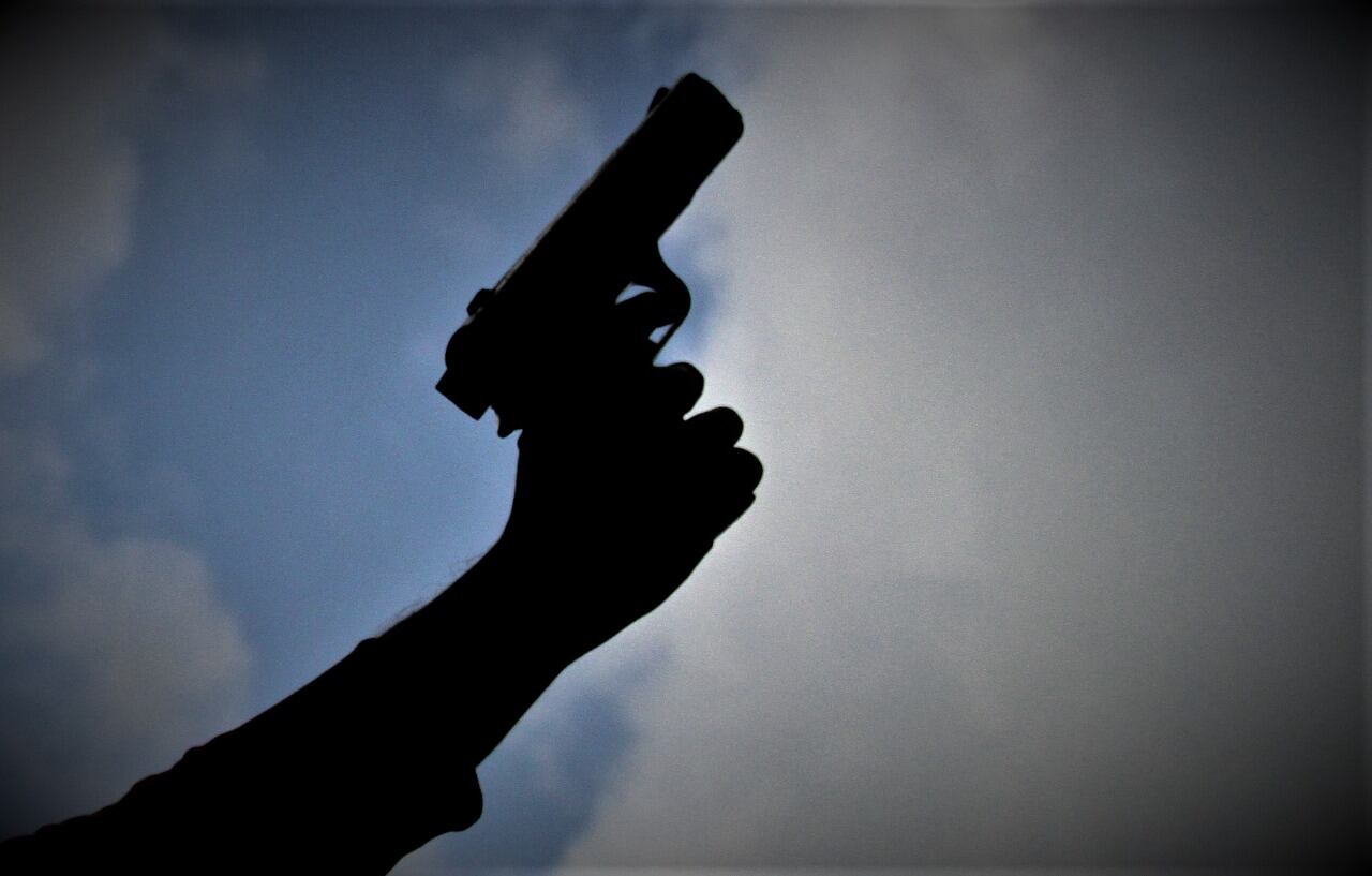 Imagen de referencia