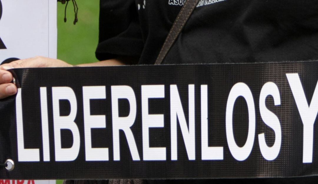 Imagen de referencia