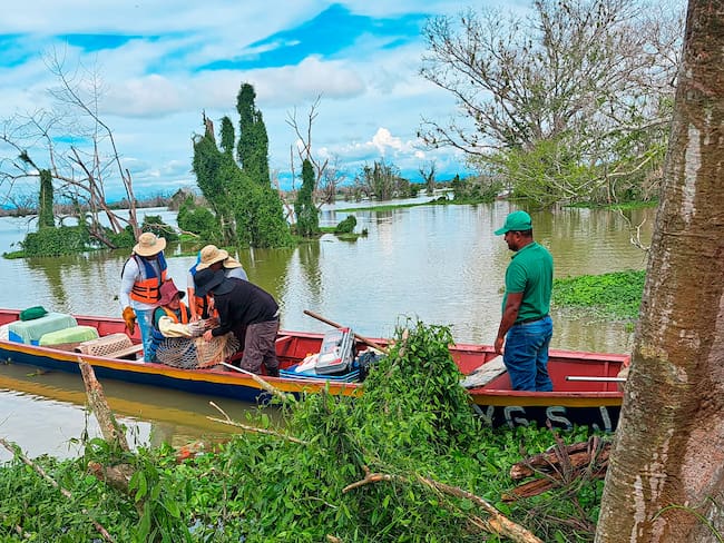 Corpomojana solicita ayuda para rescatar animales silvestres de zonas inundadas en La Mojana