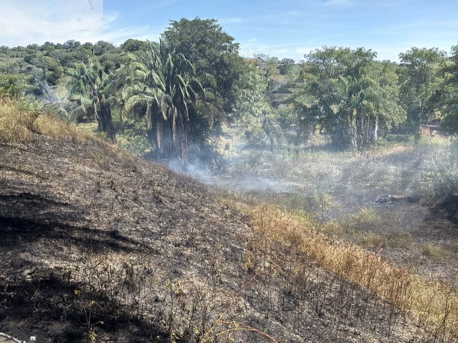 Incendio forestal en el sector de La Variante en La Dorada, Caldas. Foto suministrada.