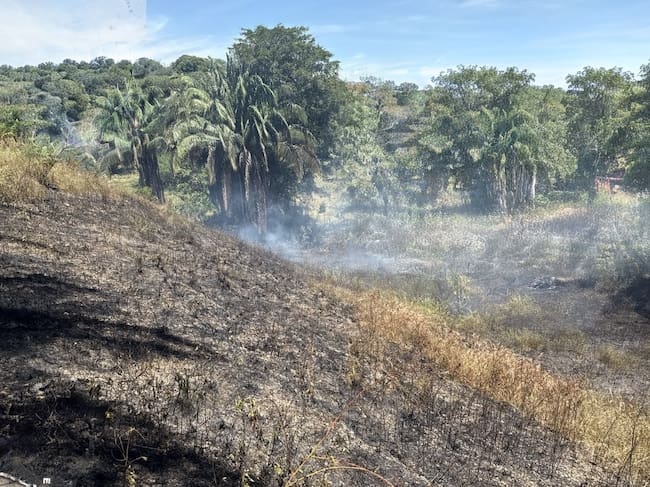 Incendio forestal en el sector de La Variante en La Dorada, Caldas. Foto suministrada.