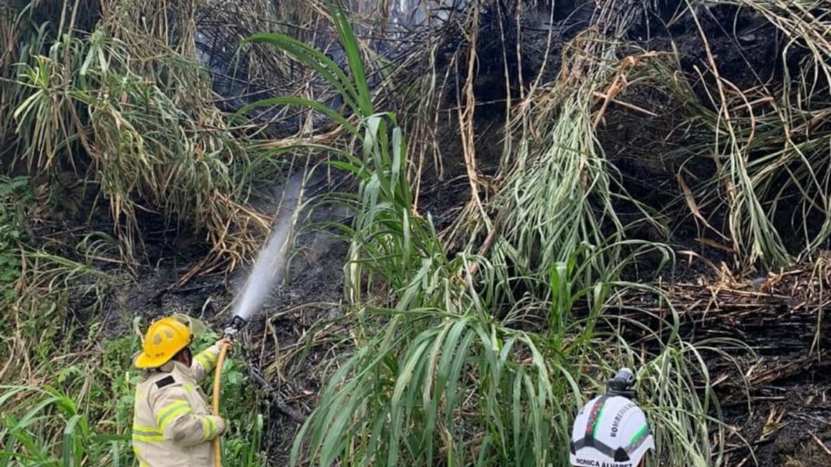 Menor de edad provocó un grave incendio en zona rural de Villamaría, Caldas