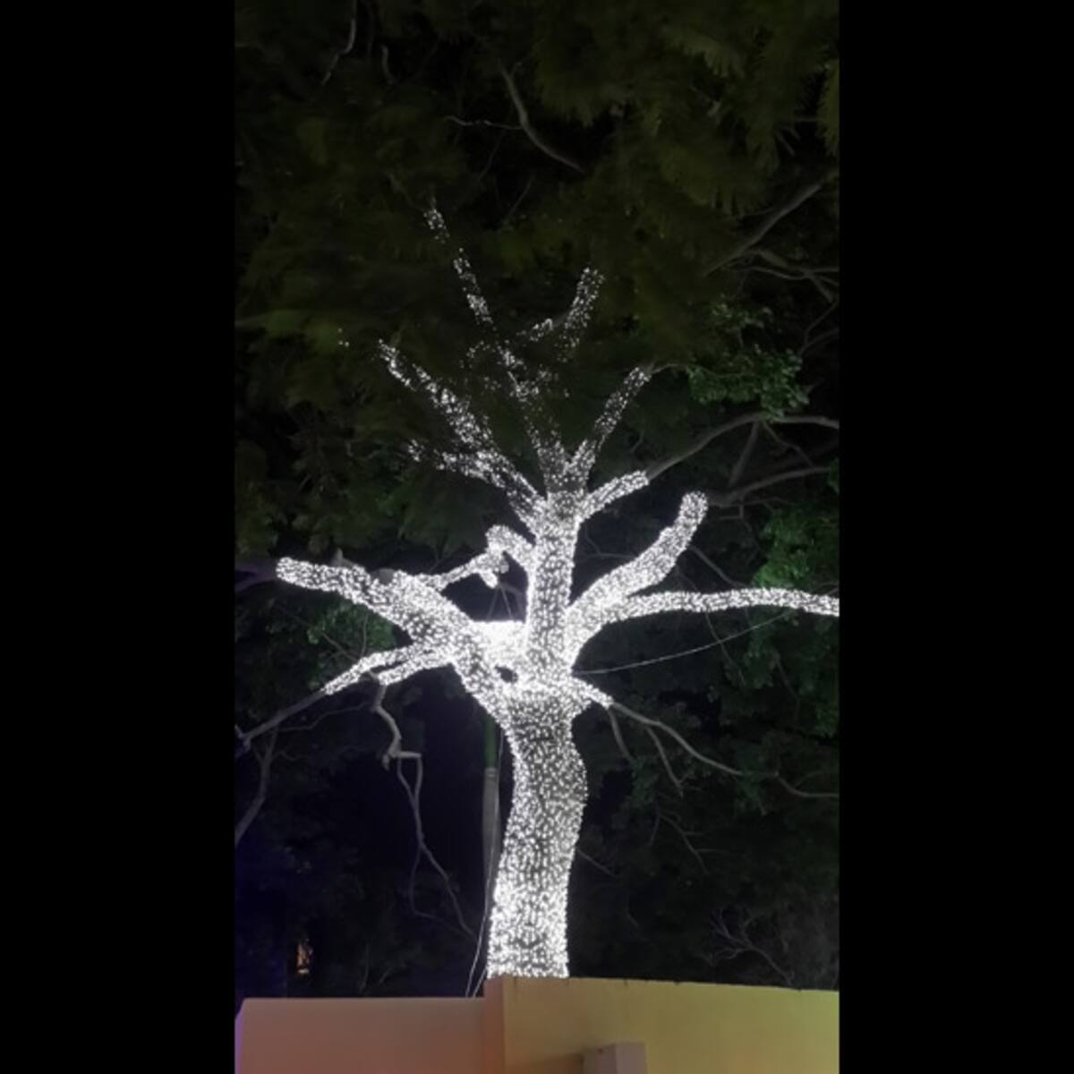 Niños esperando ilusionados su turno para participar en la actuación de su colegio por la Navidad.  Foto: Marco Antonio Alfaro Motta.