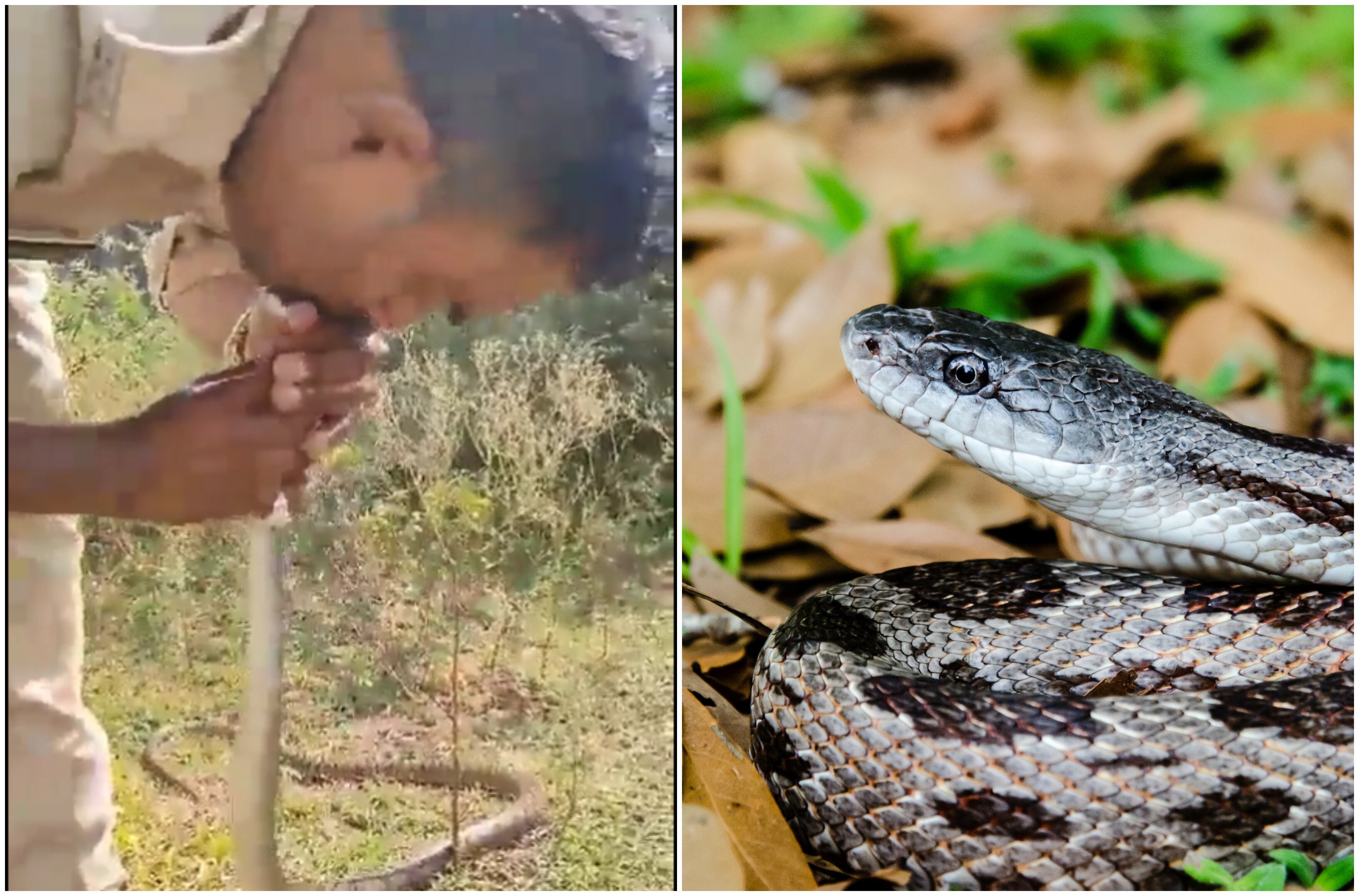 Getty Images y via Twitter