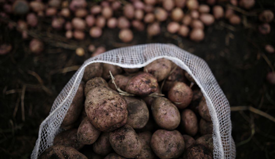 Las papas aumentan de precio