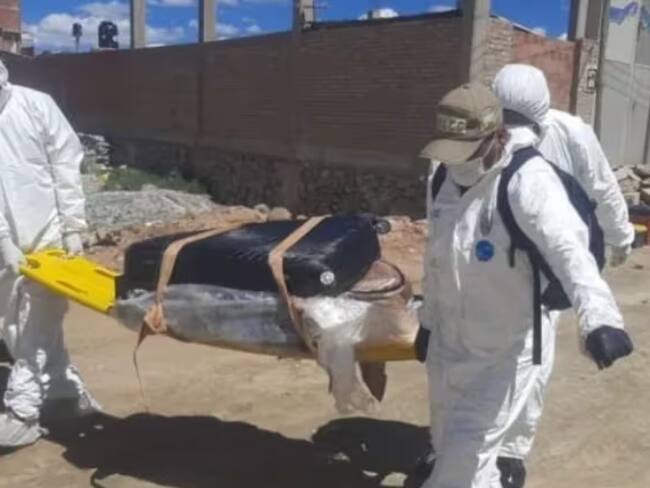 Personal de la Fiscalía departamental de Oruro, levanta la maleta donde se encontró un cadáver. Tomado del Diario la Patria.