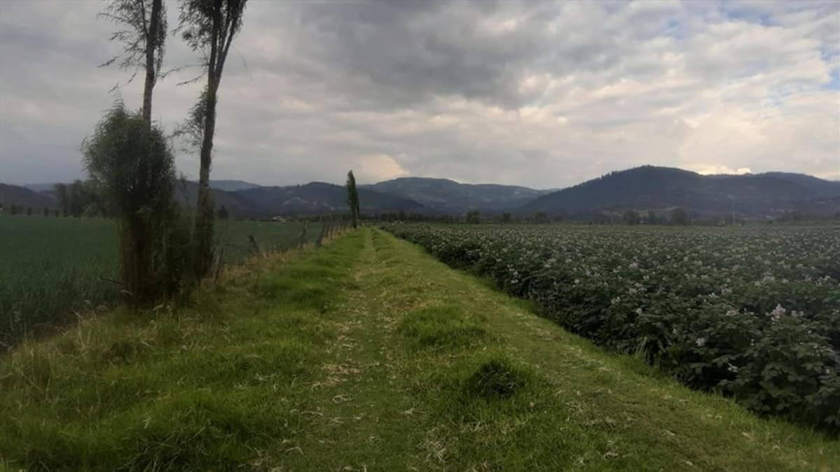 Sabana Centro en Cundinamarca será declara zona para producción de alimentos