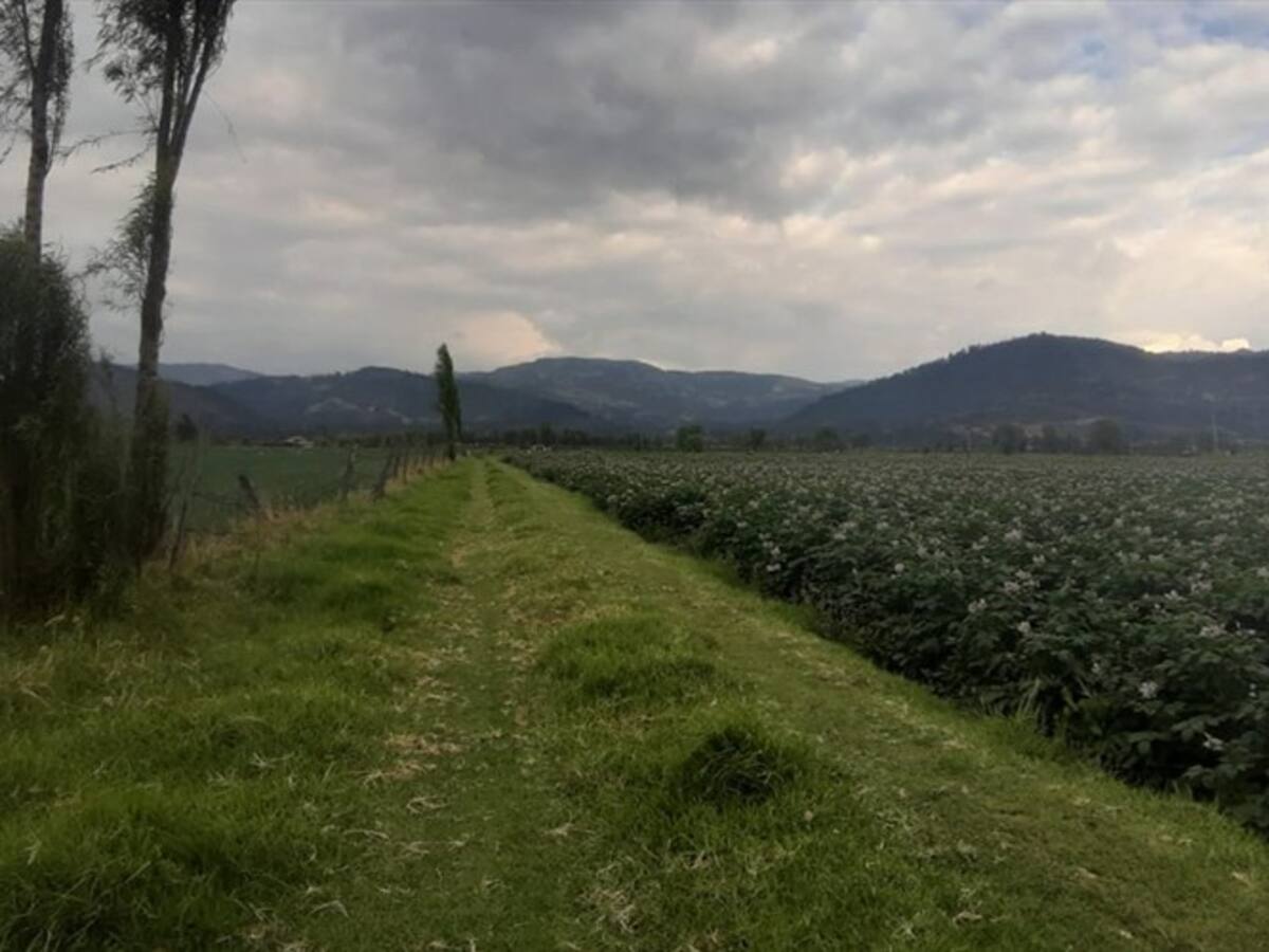 Sabana Centro en Cundinamarca será declara zona para producción de alimentos