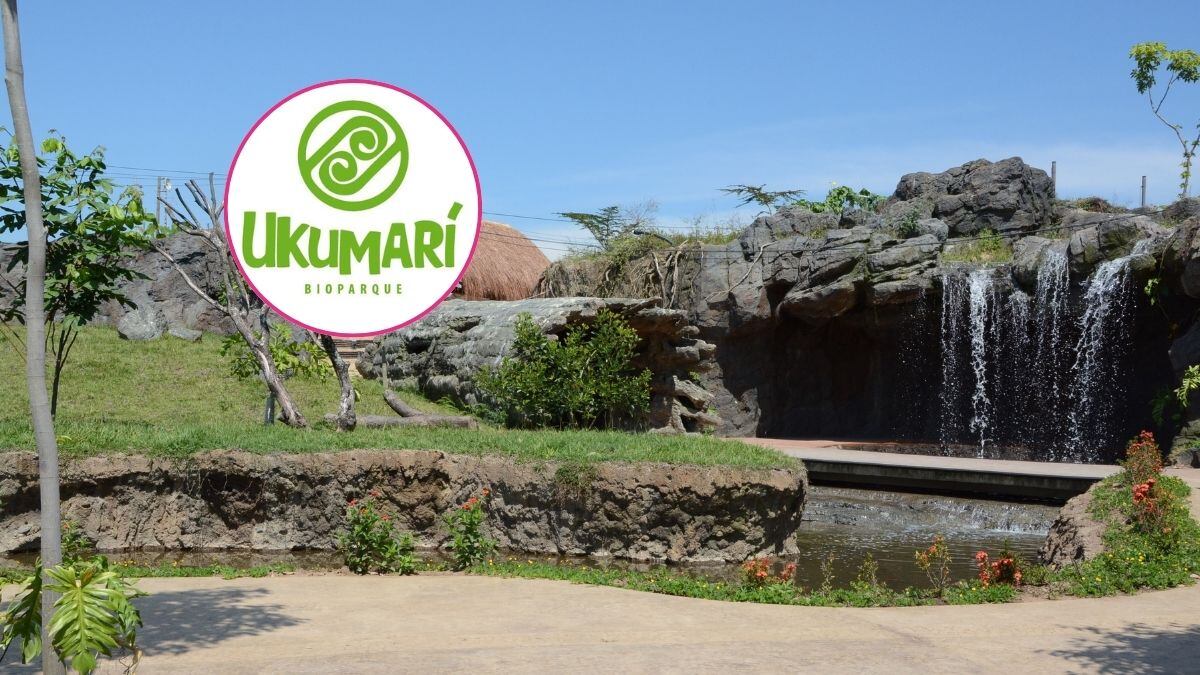 Este es uno de los puntos más visitados en la región / Colprensa / @bioparqueukumari