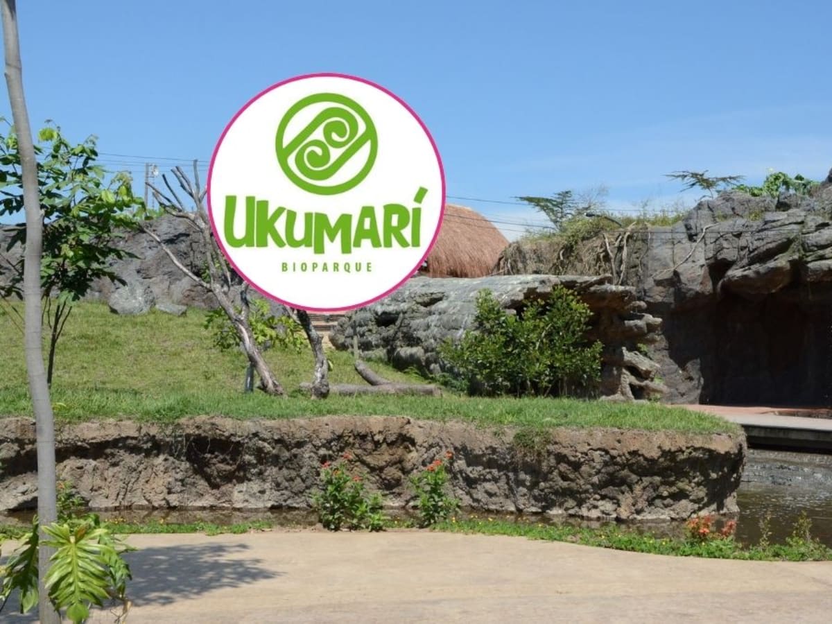¿Cuánto vale la entrada a Ukumarí, Pereira? Famoso parque con osos, águilas y hasta pumas