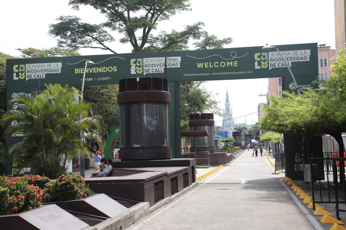 Semana de la Biodiversidad Cali / Foto: Alcaldía de Cali