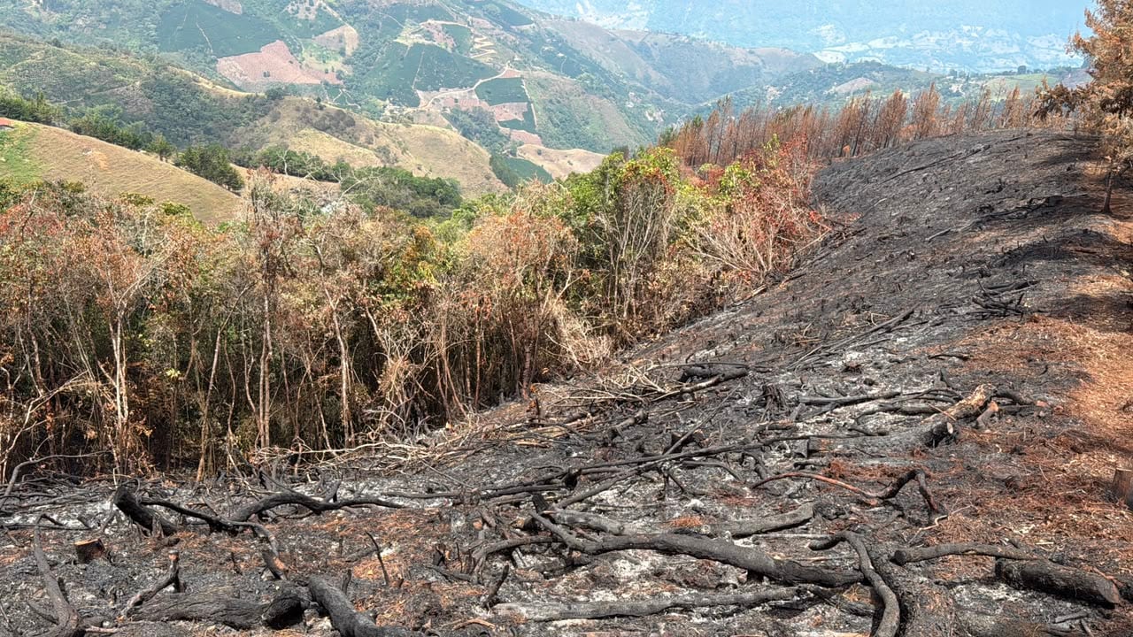 Incendio forestal en Abejorral- foto gobernación de Antioquia
