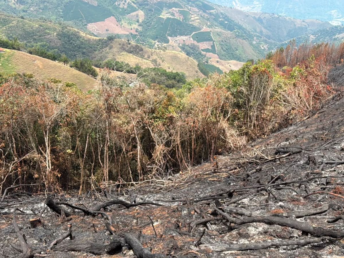 Antioquia activa una bolsa de $500 millones para recompensas para quienes denuncien a los pirómanos