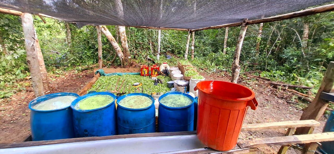 Ejército destruye cuatro laboratorios donde procesaban cocaína en Córdoba