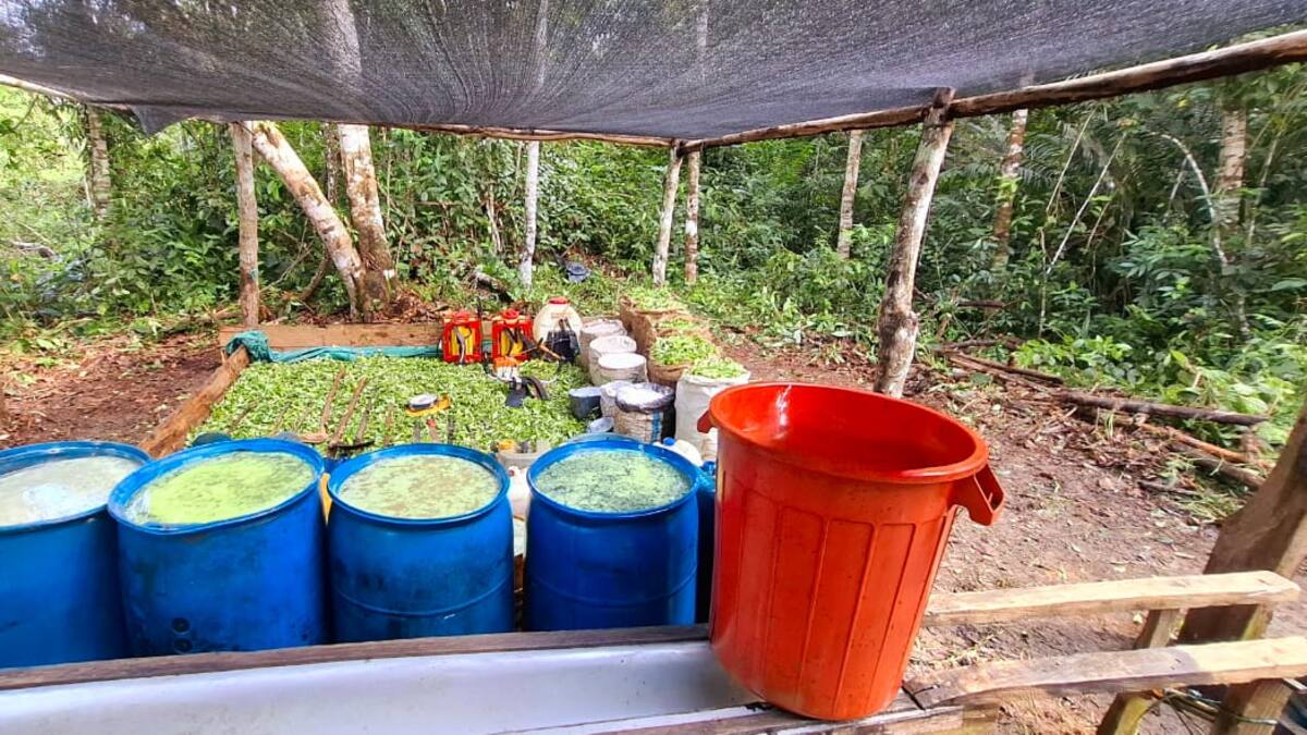 Ejército destruye cuatro laboratorios donde procesaban cocaína en Córdoba