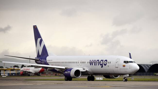 Wingo. (Photo by DANIEL MUNOZ / AFP) (Photo by DANIEL MUNOZ/AFP via Getty Images)