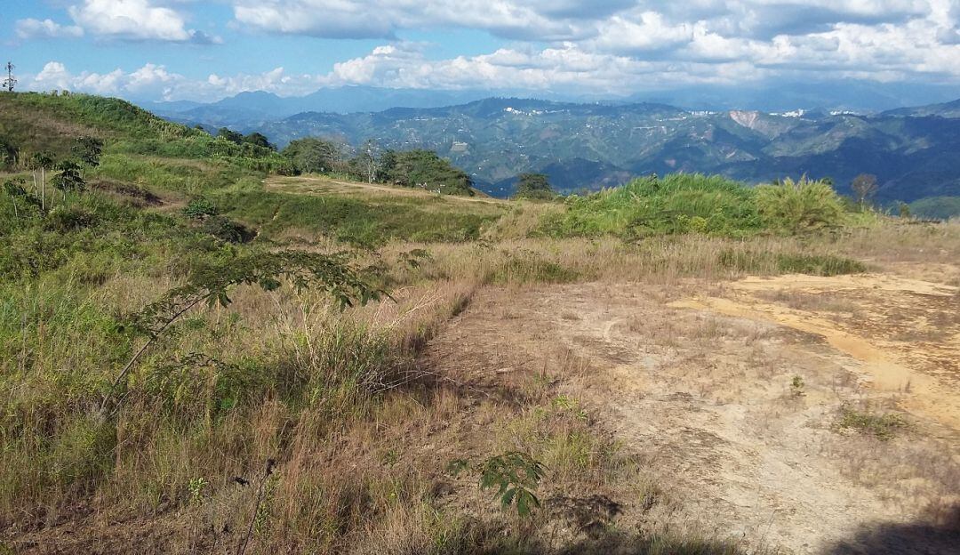 Terrenos de Aerocafé