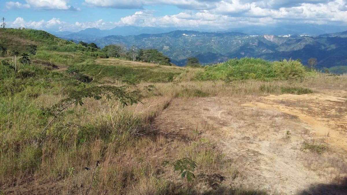 El plan de acción de Aerocafé está en un 25 por ciento
