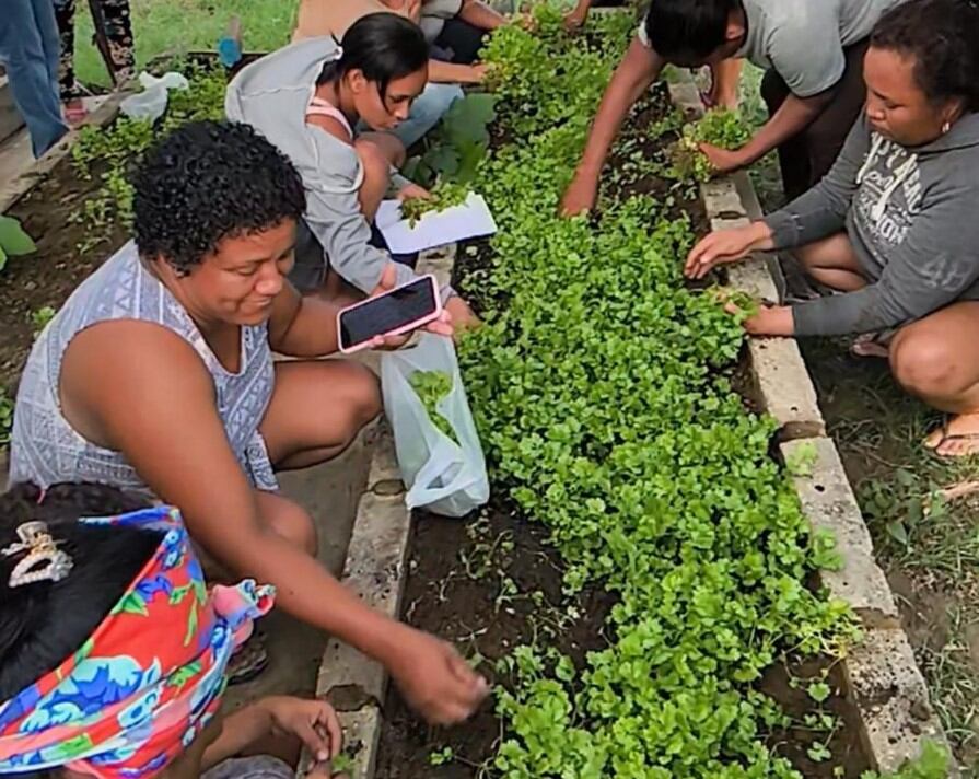 Proyecto de 'Huertas Caseras' en el municipio de Cerro de San Antonio, Magdalena