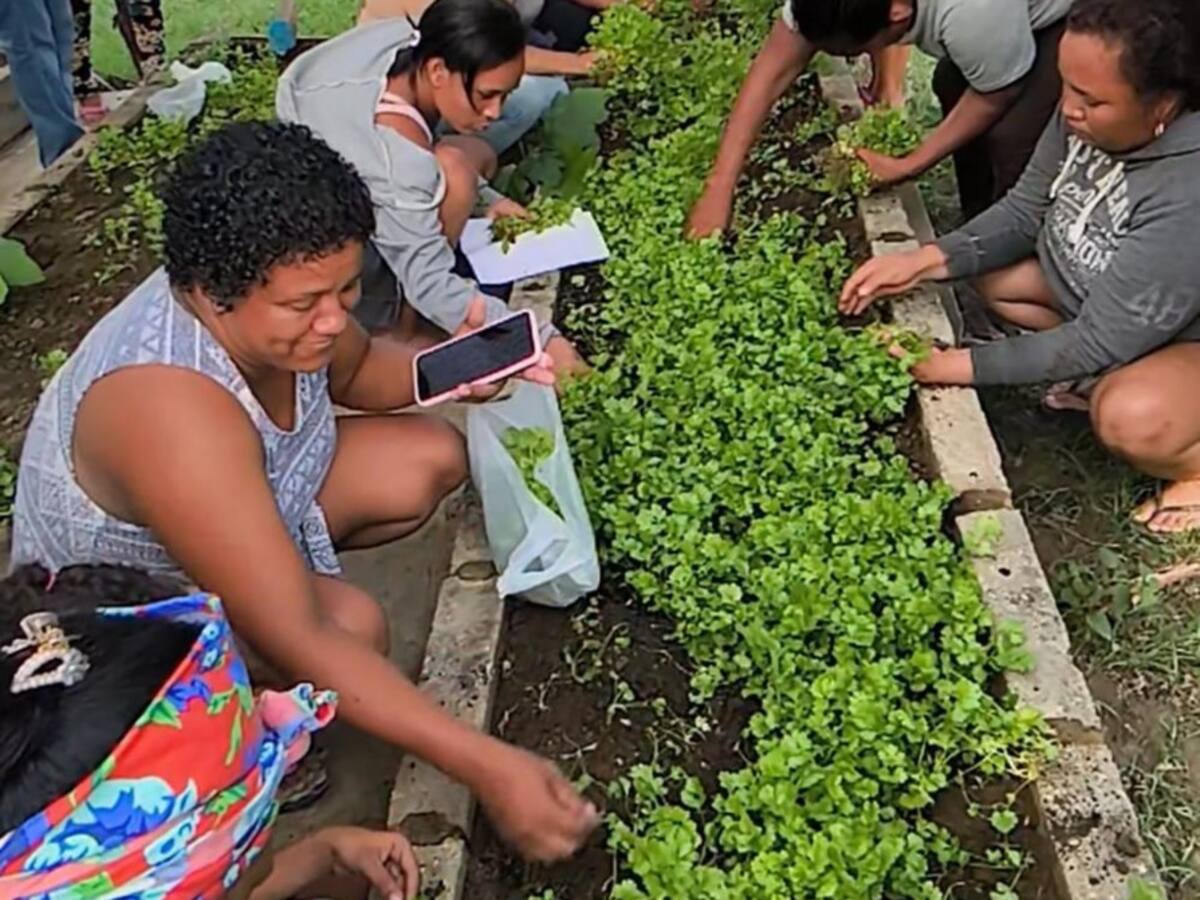 Mujeres cabeza de hogar transforman sus patios en huertas en Cerro de San Antonio, Magdalena