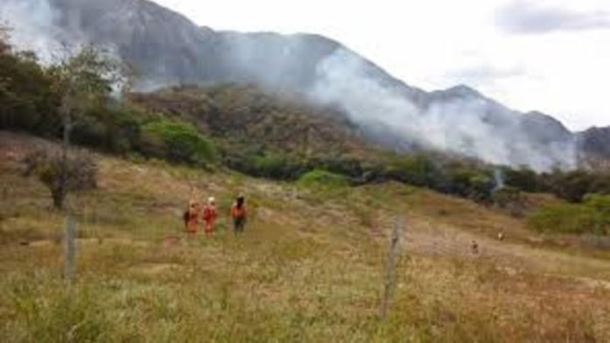 Altas temperaturas mantienen en alerta al Huila por disminución de fuentes hídricas