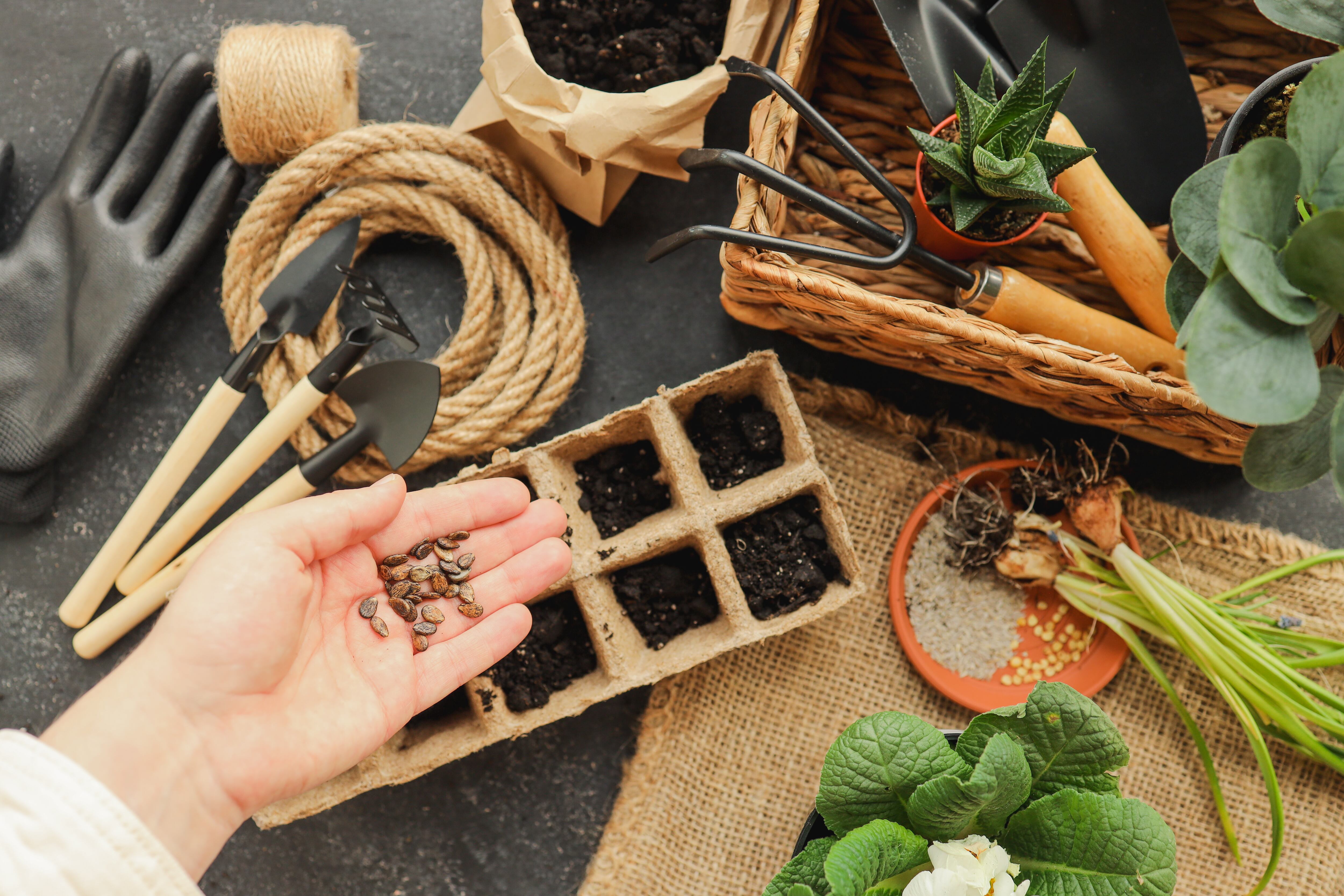 Frutas y verduras muy fáciles de cultivar en casa - Getty Images