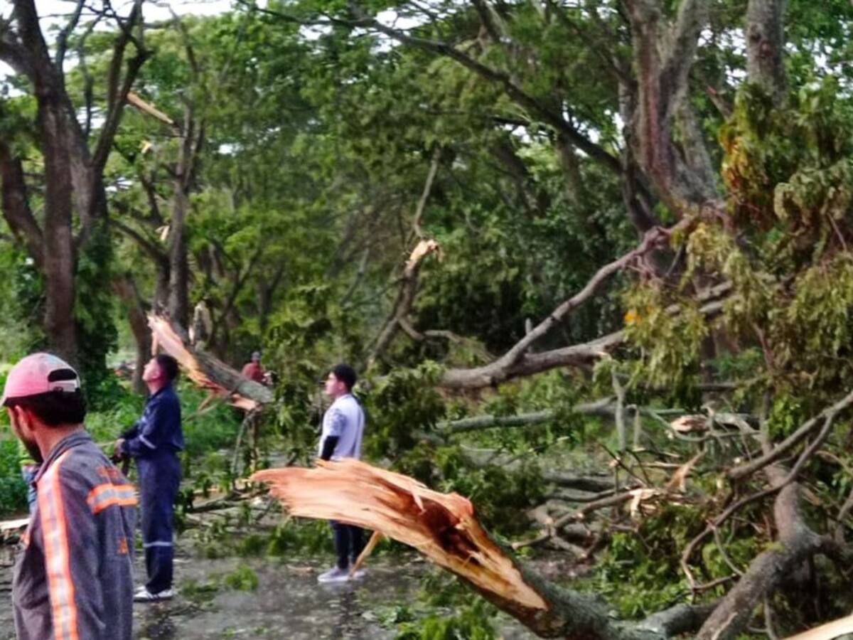 Fuerte vendaval azotó a varios municipios del Tolima