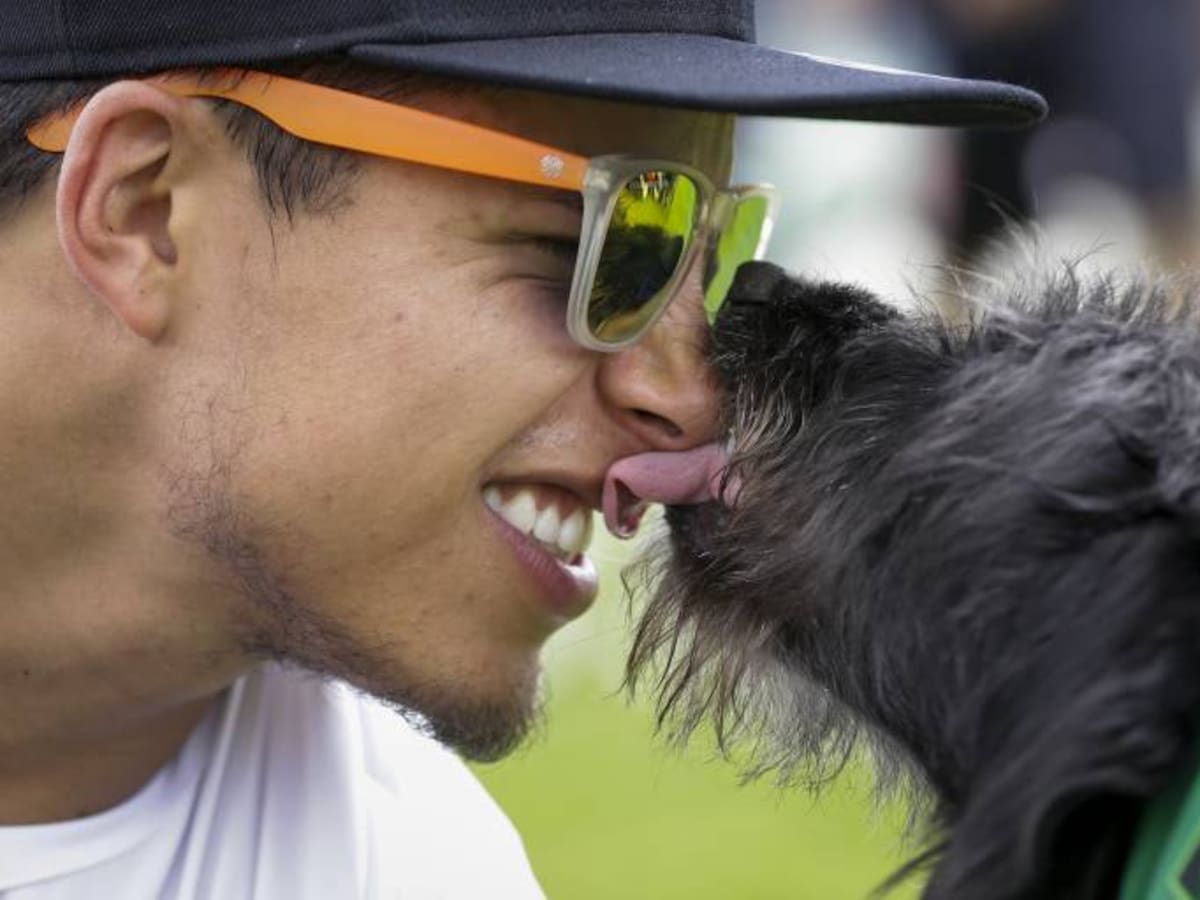 Expertos invitan a cuidar a las mascotas durante la ola de calor en Cali