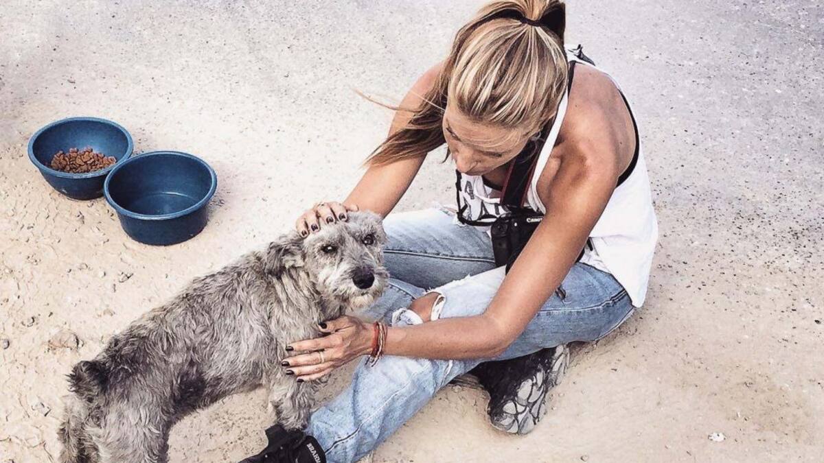Transformar el dolor: La historia detrás de la fundación que ayuda perritos
