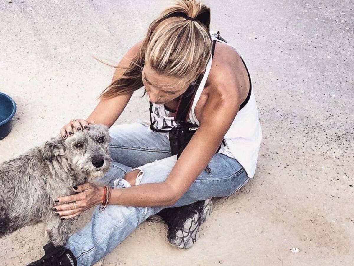 Transformar el dolor: La historia detrás de la fundación que ayuda perritos