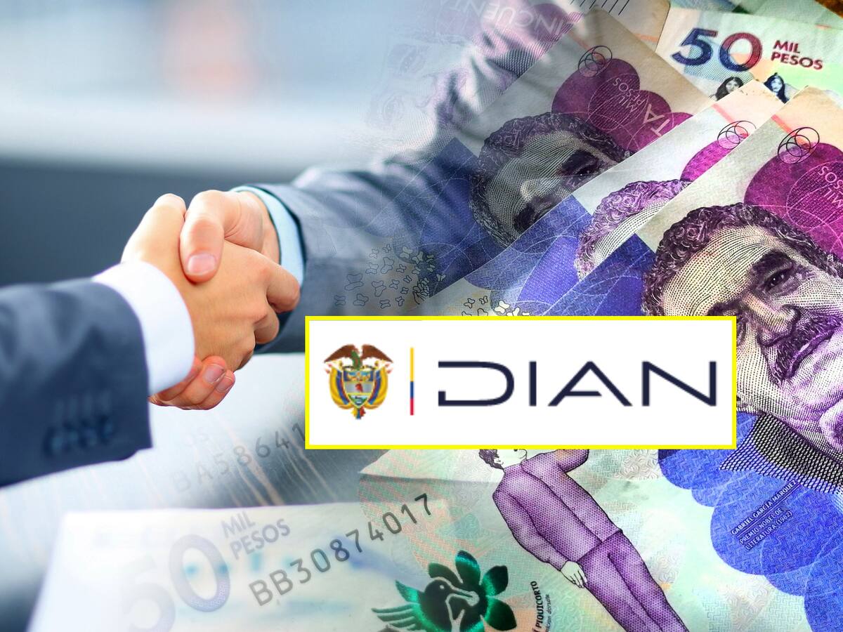 ¿Quién está detrás de la operación paralela en la Dian? Directora de ITRC respondió