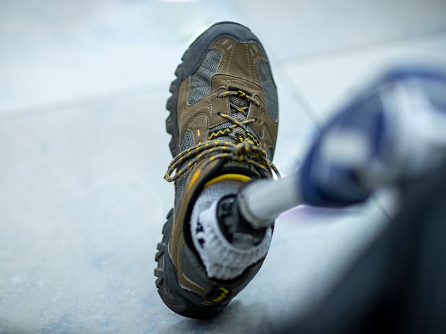 Imagen de referencia.