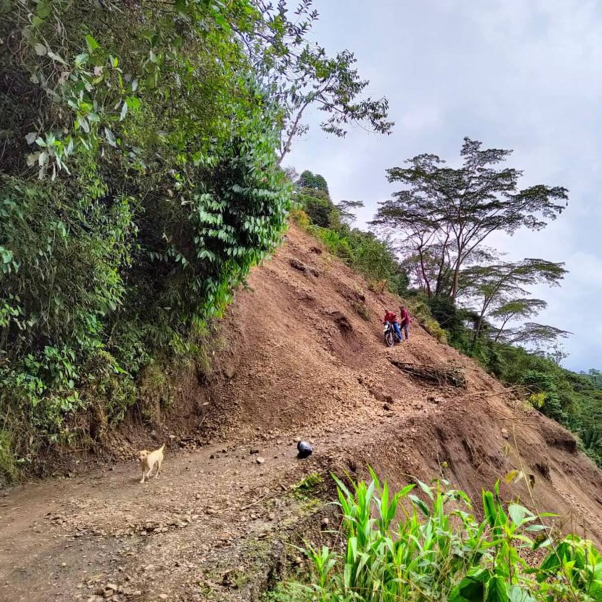 Las comunidades afectadas por derrumbe en Betulia ya tienen acueducto