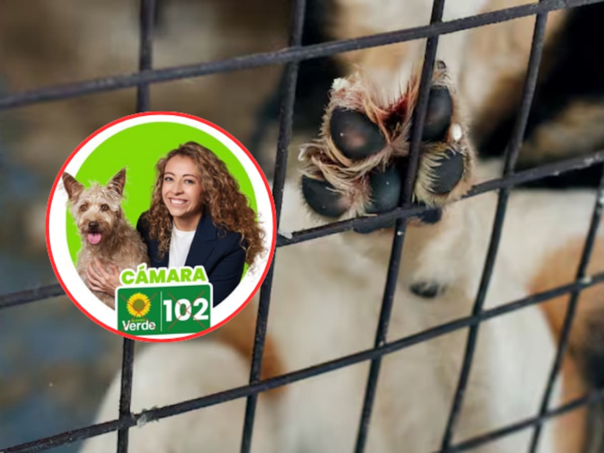 “Esperamos que el centro se una para tener una opción decente a la presidencia”: Natalia Goyeneche