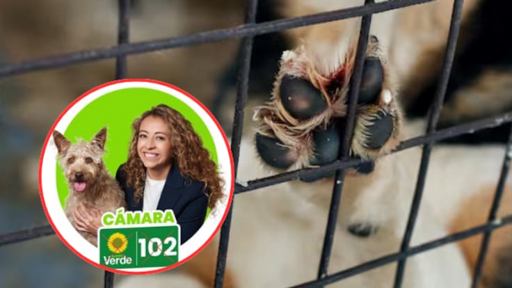 “Esperamos que el centro se una para tener una opción decente a la presidencia”: Natalia Goyeneche