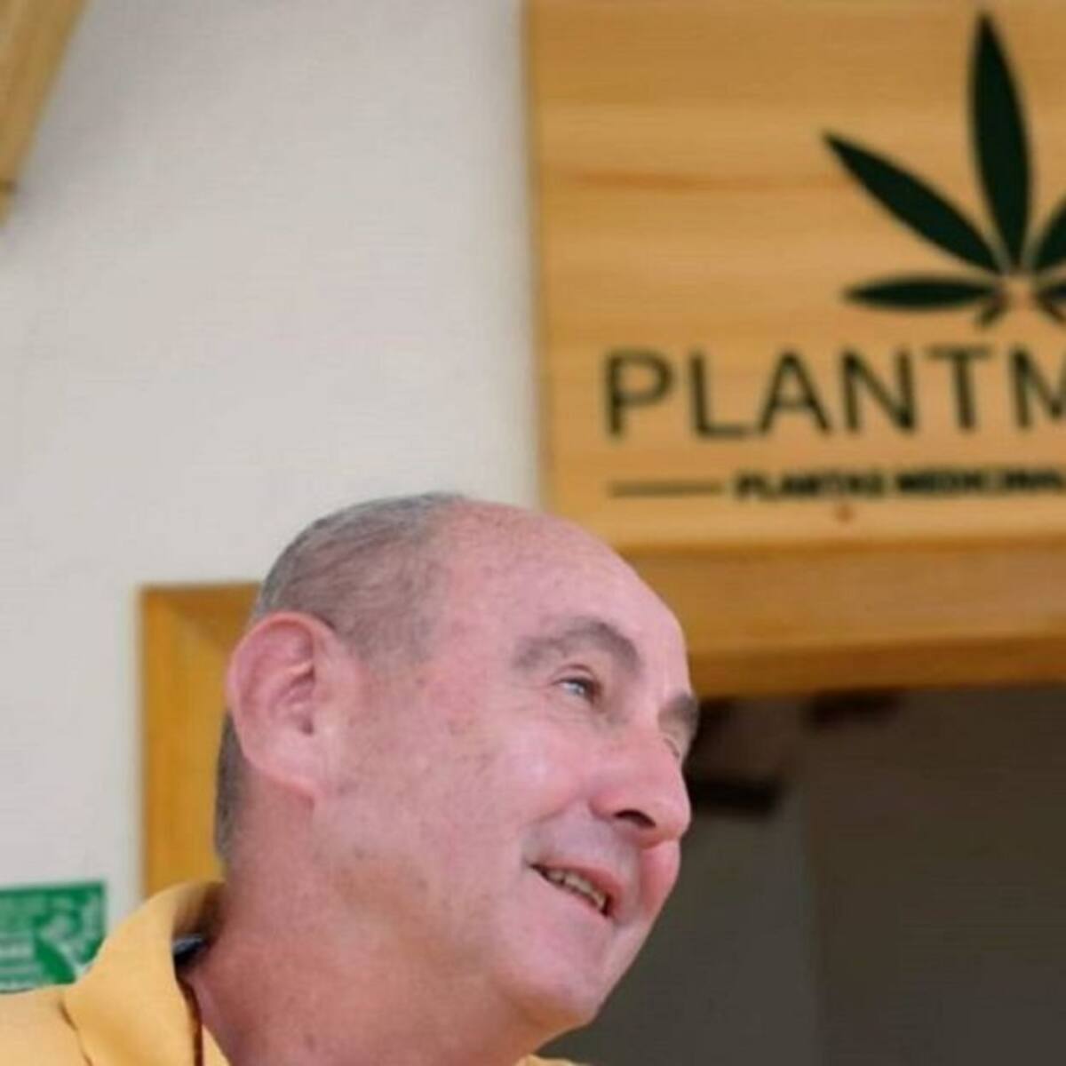 Producción de cannabis medicinal muy cerca de ser una realidad en Quindío