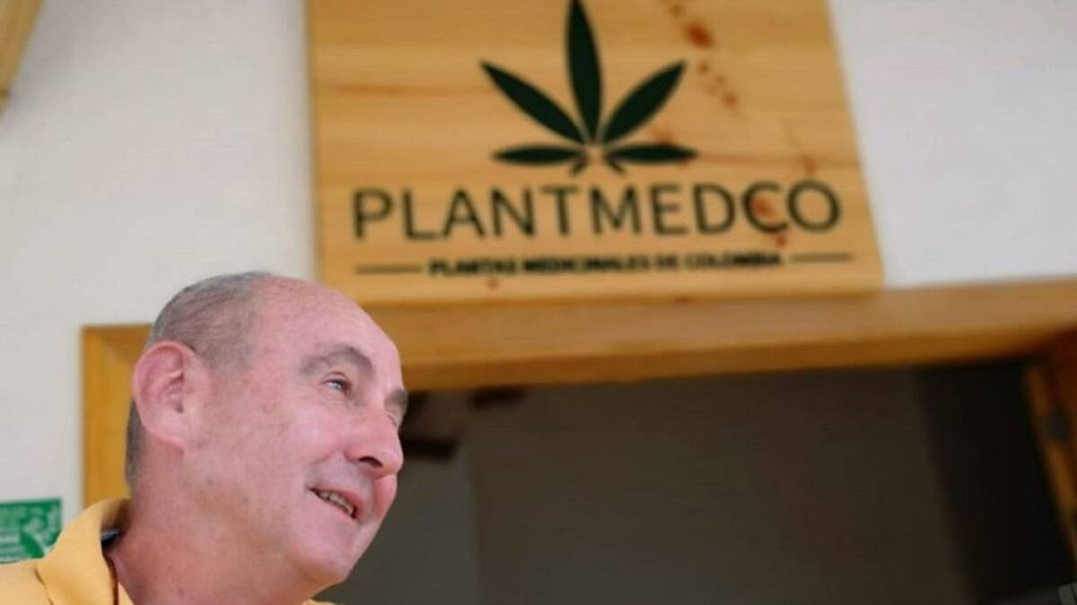 Producción de cannabis medicinal muy cerca de ser una realidad en Quindío