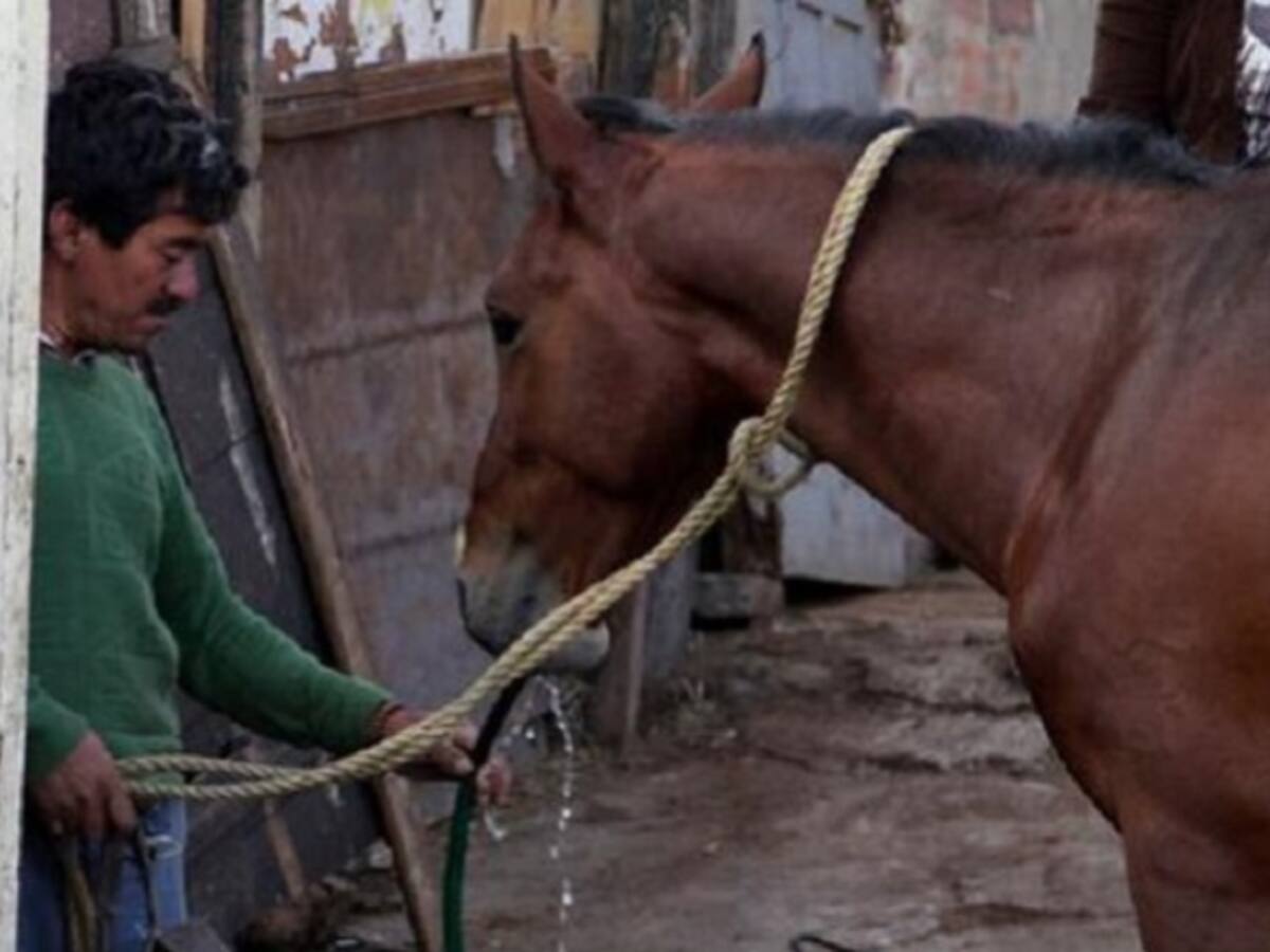 ¿Las motos están reemplazado los caballos?